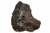 Polished Stony-Iron Mesosiderite Meteorite ( g) - Chile #242891-1